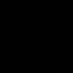 Meet your Posher, Rustin